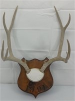 Deer Antler plaque mount