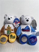 50 States of America Coin Bears