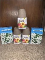 Seed starter pots and Alyssum seed mixtures