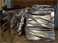 3 silver padded ziplock bags. They