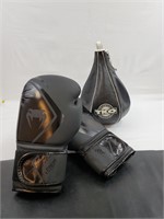 Boxing Gloves and Punch Bag