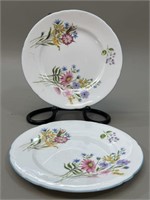 Shelley’s Wild Flowers Porcelain Plates, England
