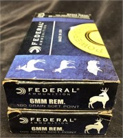 Federal 6mm REM. 100 GR. Soft point