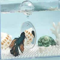 Betta Mirror Small With Float