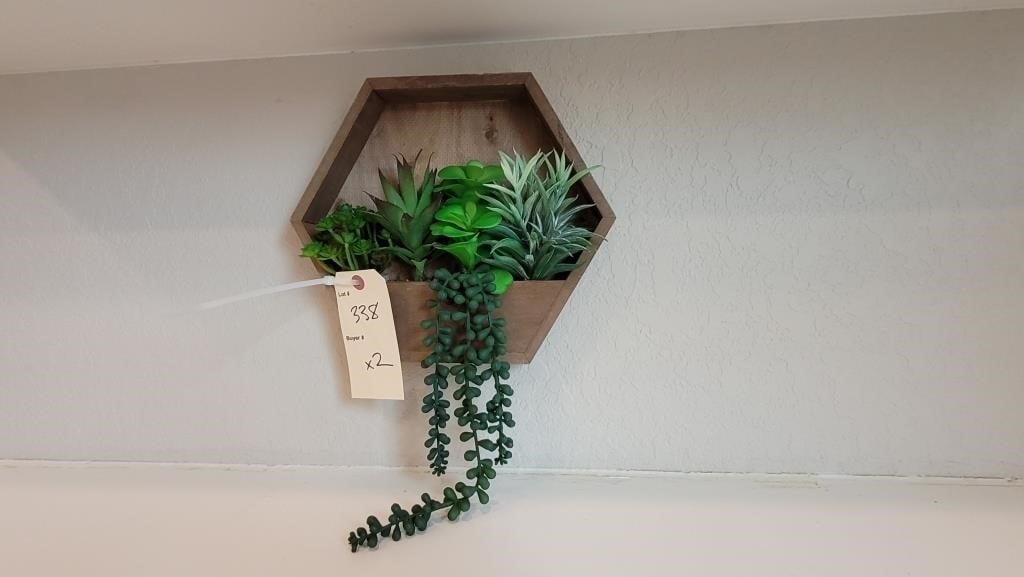 2PC WALL SUCCULENTS