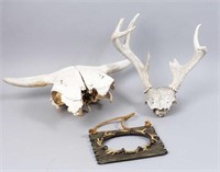 Cow Skull, Antlers & Frame