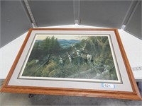 Framed and matted "Dakota Prince-Mule Deer" by M