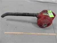 Homelite leaf blower; we didn't test