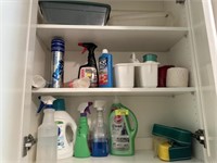 Cleaners & misc in cabinet