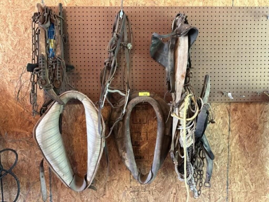 Horse collars, hames, misc on wall