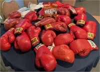Signed Professional  Boxing Memorabilia (27)