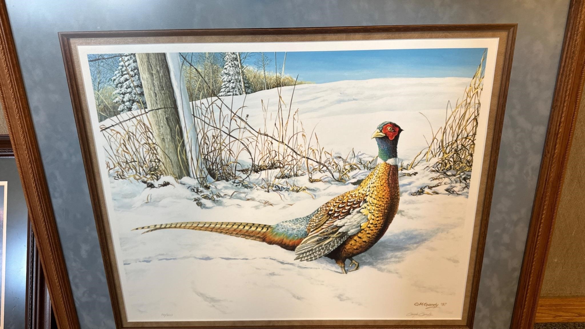 Gary Gandy Pheasant framed art