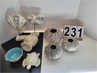 Terracotta Sea Urchin Vases ~ Turtle ~ Sea Shell