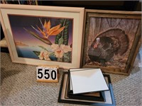 Flower Picture ~ Turkey Picture ~ Picture Frames