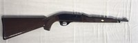 Remington Nylon 66. 22 Cal Long Rifle