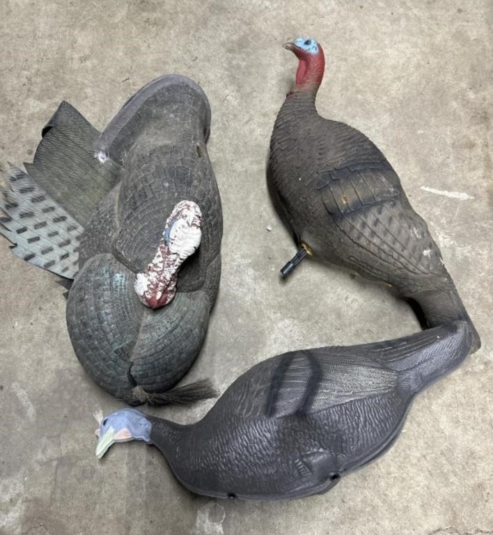 Three fake turkeys