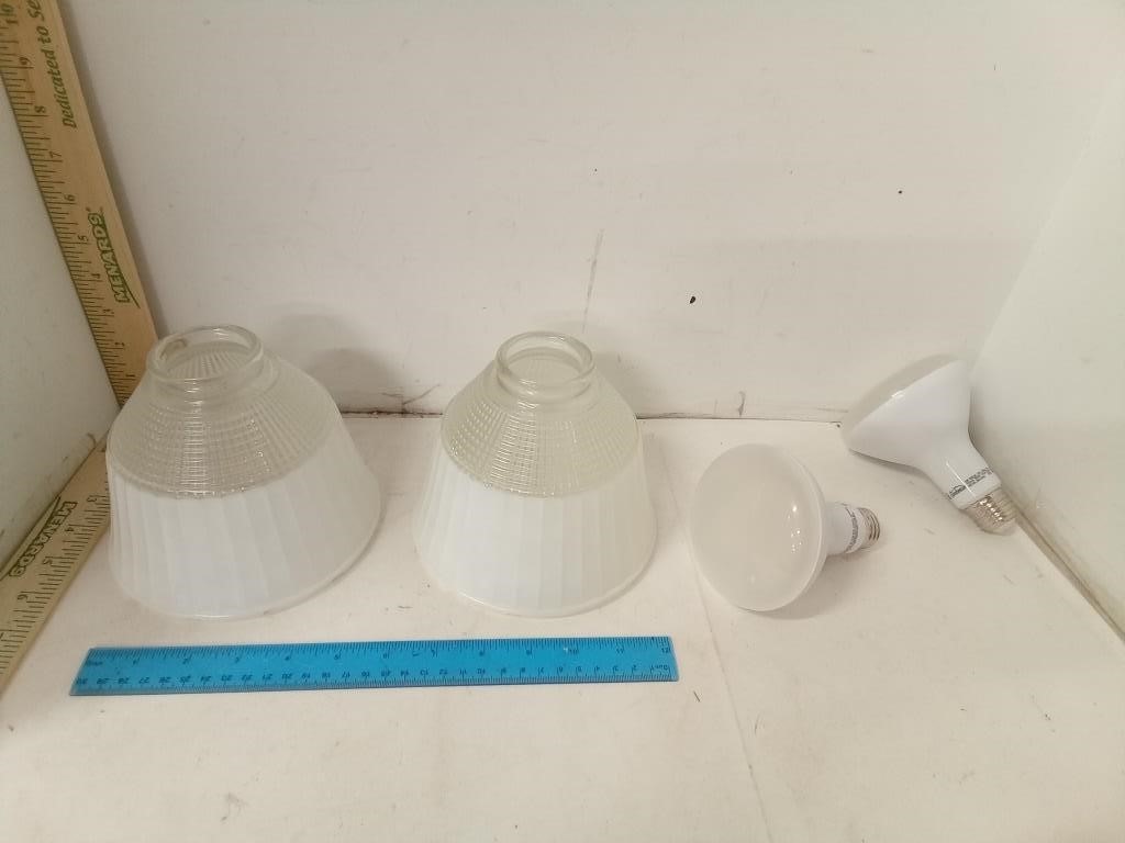 Glass Fixture Globes & Sunbeam Light Bulbs