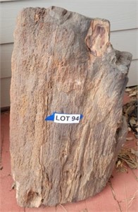 Petrified Wood Rock