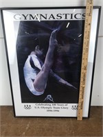 Olympic Gymnastics USA Team Glory Poster Framed