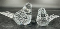 Two Controlled Bubbles Bird Style Glass