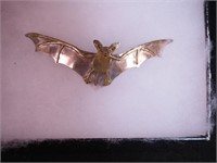 Sterling pin of a bat in flight