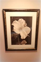 LARGE Black & White Rose Framed Artwork