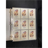 Over 200 Modern Ted Williams Inserts/promo Cards