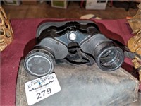 Bushnell Binoculars and case