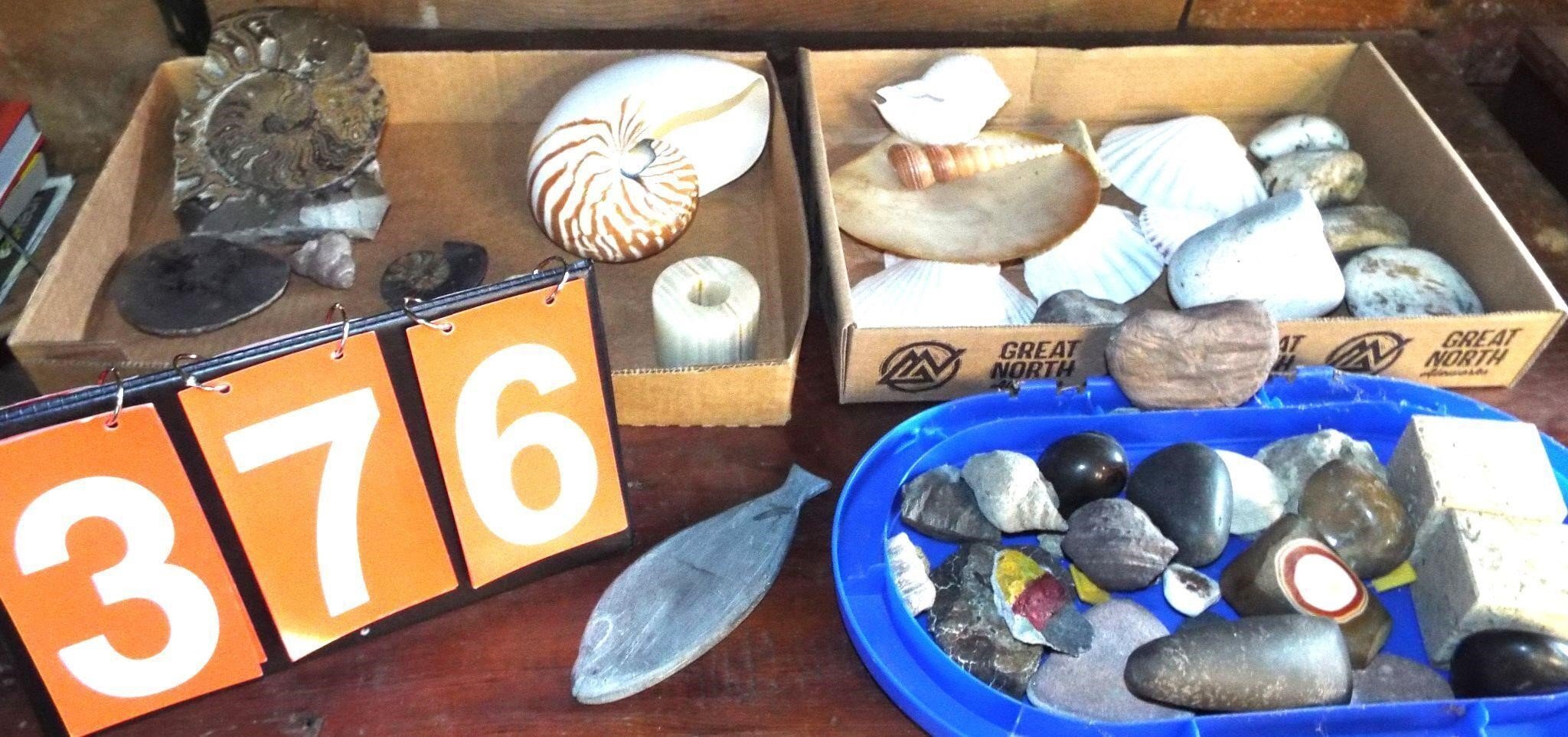 3 trays asst shells, Nautilas, geodes, etc.