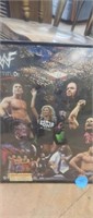 VINTAGE  16 X 20 WWF FRAMED PICTURE  WITH OLD