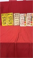 5 TOTAL PAINTED STEEL LICENSE PLATES