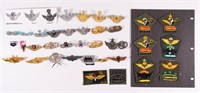 ASIAN PARATROOPS WINGS BADGES AND INSIGNIA