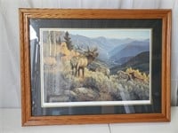Elk Print Signed/numbered Lambson