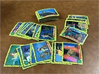 1989 TMNT Cards
