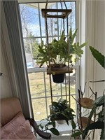 PLANT HANGER WITH PLANTS