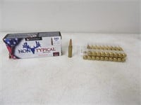 20-Federal Non Typical 243 Win 100gr SP