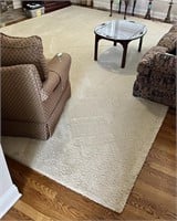 Large White Rug