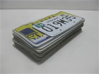 Sixteen License Plates