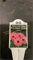 6" Gerbera daisy pink black center