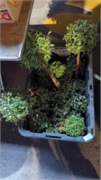 Artificial plants in a tote