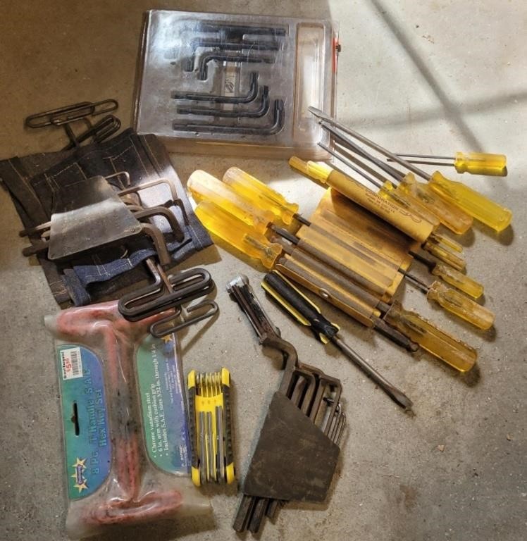Hex Key sets and drivers lot