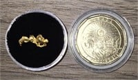 Gold Nugget & Klondike Coin #2