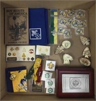 Assorted Boy Scout Pins, Handbook