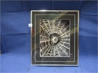 framed and matted spider web photo .