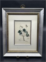 Framed Pen & Ink Absract Botanical