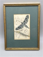 Print of Catepillar & Butterfly in Gold Frame