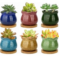5Pack Ceramic Succulent Pots