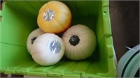 Plastic Container Of Pumpkin's