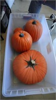 2 Containers Of Pumpkins