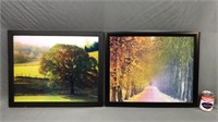 (2) 3d Hologram Tree Pictures Framed